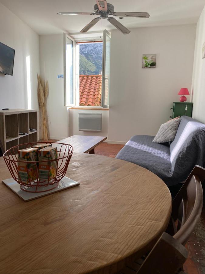 La Tomette - Le Charme De L'authentique Apartment Maury